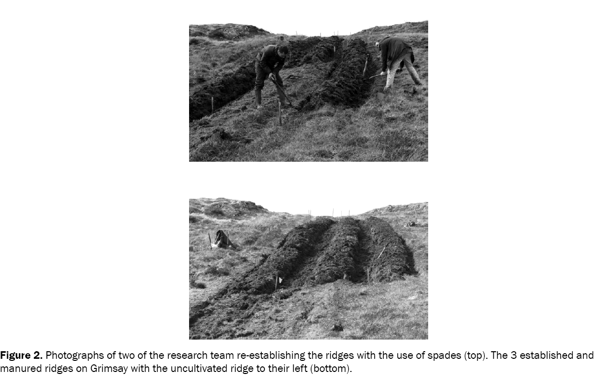 environmental-sciences-manured-ridges-Grimsay