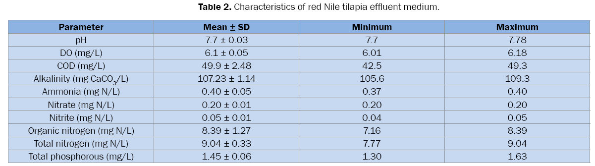 environmental-sciences-red-Nile-tilapia