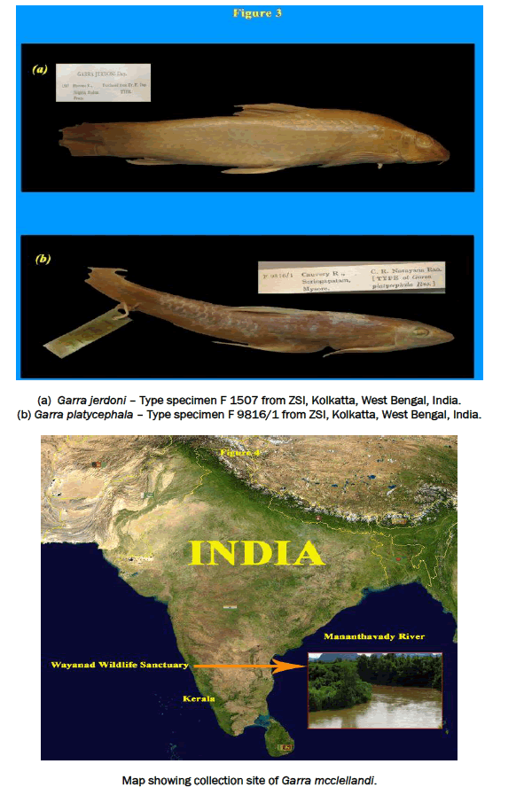 environmental-sciences-showing-collection