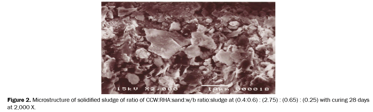 environmental-sciences-solidified-sludge