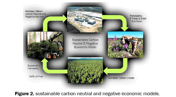 environmental-sciences-sustainable-carbon