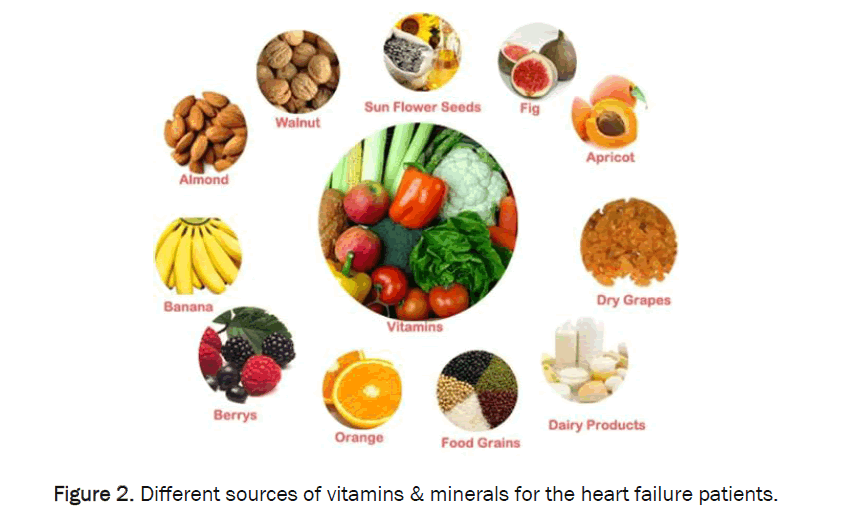 food-and-dairy-technology-Different-sources
