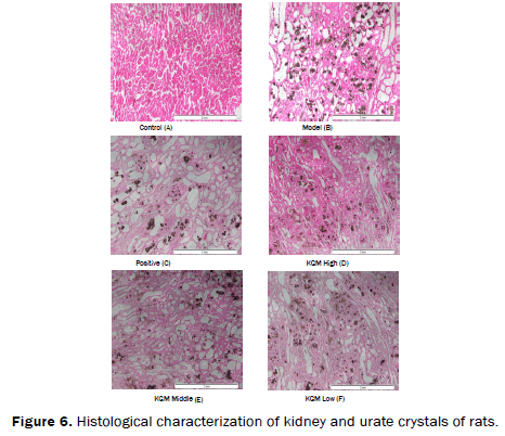 food-and-dairy-technology-Histological-characterization