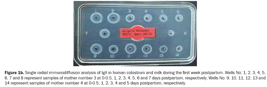 food-and-dairy-technology-analysis