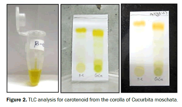 food-and-dairy-technology-carotenoid