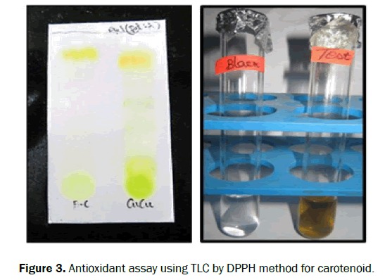 food-and-dairy-technology-carotenoid