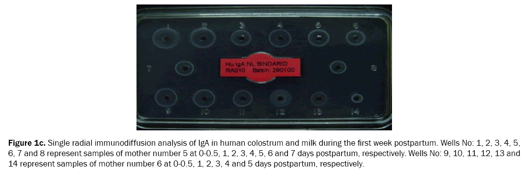 food-and-dairy-technology-colostrum