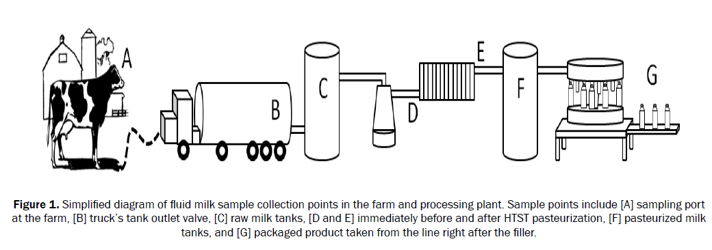 food-and-dairy-technology-diagram