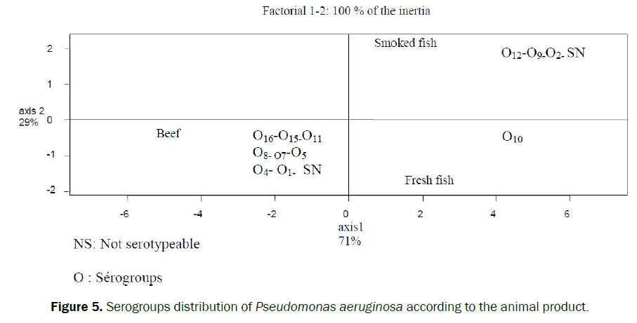 food-and-dairy-technology-distribution