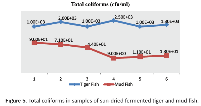 food-and-dairy-technology-fermented