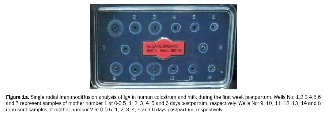 food-and-dairy-technology-immunodiffusion