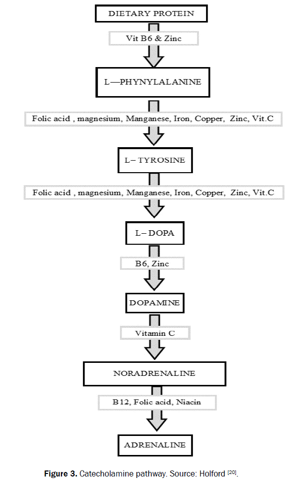 food-and-dairy-technology-pathway