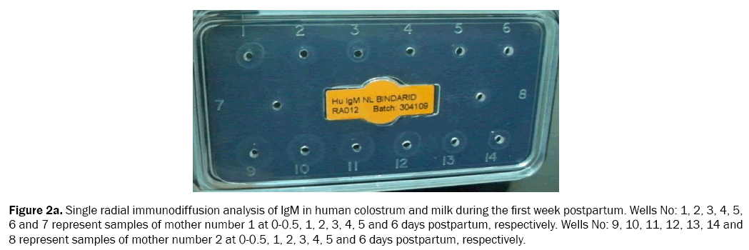 food-and-dairy-technology-postpartum