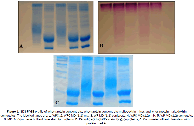 food-and-dairy-technology-protein