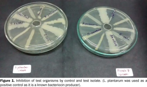 food-and-dairy-technology-test-isolate