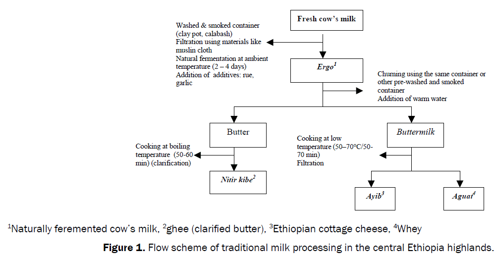 food-and-dairy-technology-traditional-milk-processing