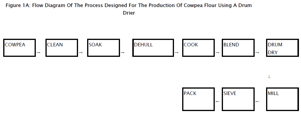 food-dairy-technology-Cowpea-Flour