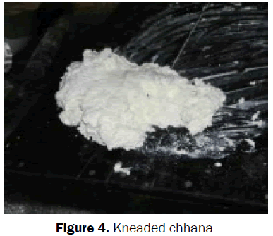 food-dairy-technology-Kneaded-Chhana