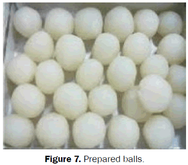 food-dairy-technology-Prepared-balls