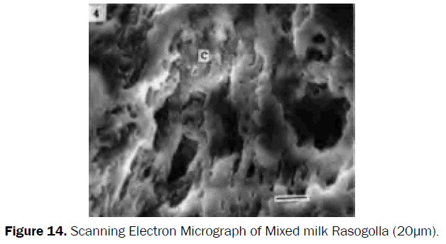 food-dairy-technology-Scanning-Electron-Rasogolla