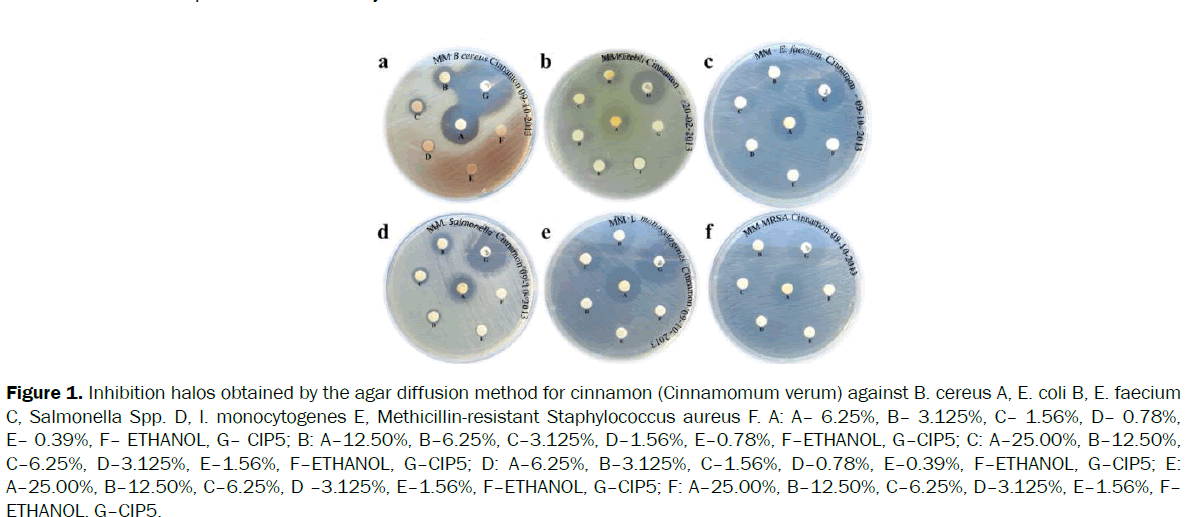 food-dairy-technology-diffusion-method-cinnamon