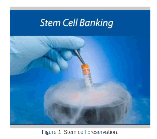 health-sciences-Stem-cell