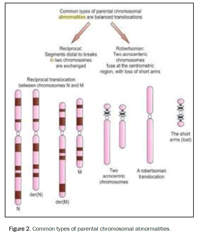 health-sciences-chromosomal-abnormalities