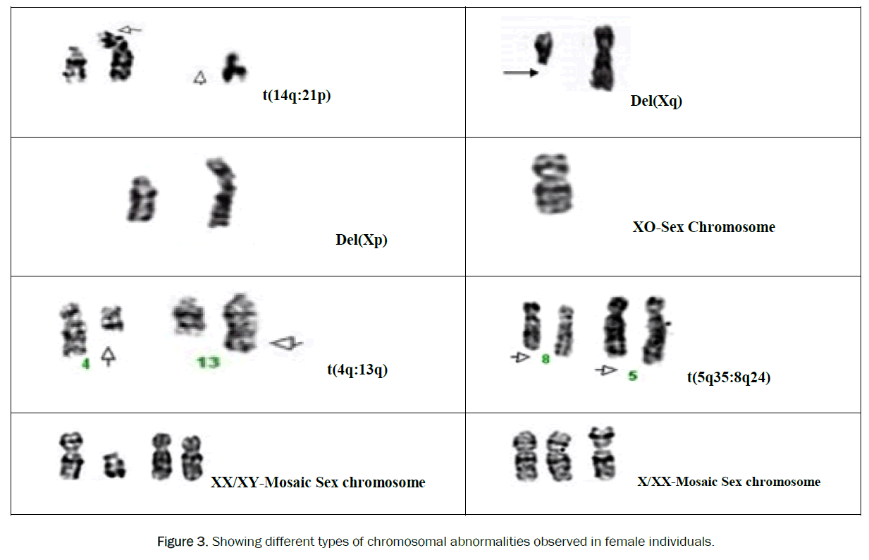 health-sciences-female-individuals