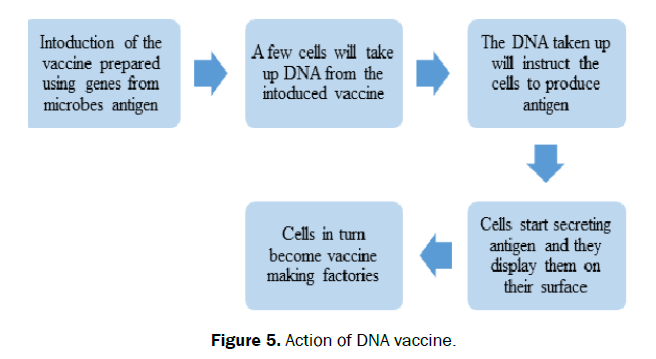 hospital-and-clinical-DNA-vaccine