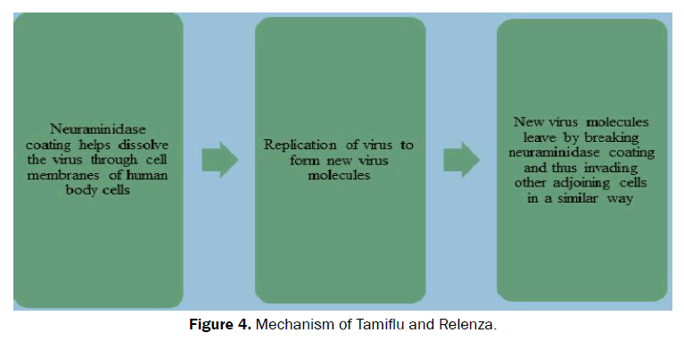 hospital-and-clinical-Tamiflu-Relenza