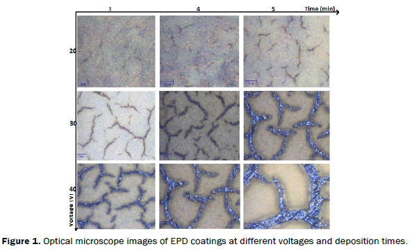 material-sciences-Coconut-Shell-Particles