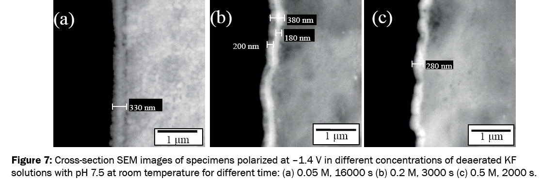 material-sciences-Cross-section-SEM-images