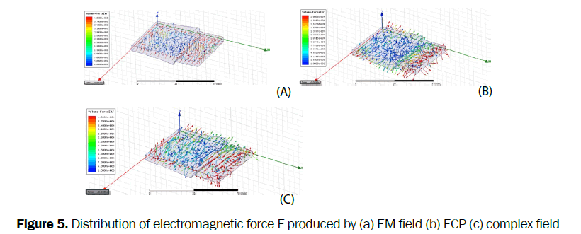 material-sciences-Distribution-electromagnetic-force-F