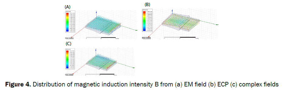 material-sciences-Distribution-magnetic-induction-intensity