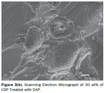 material-sciences-Electron-Micrograph-Treated