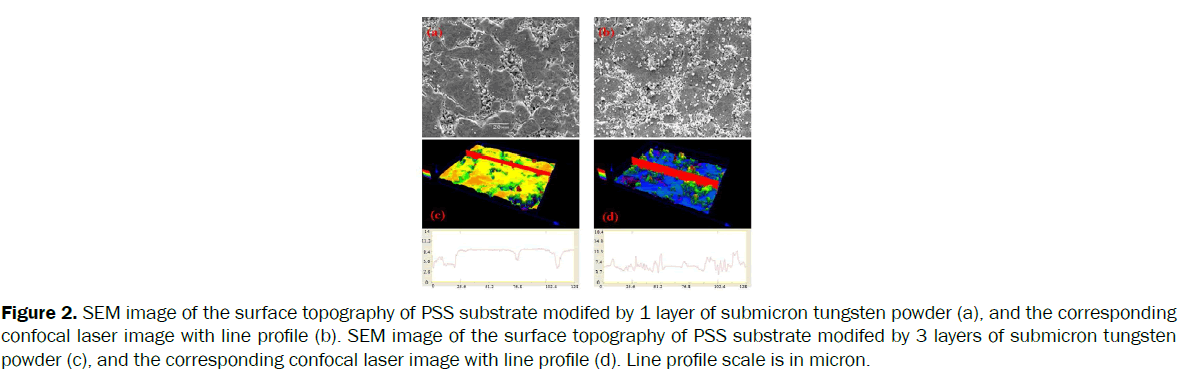 material-sciences-SEM-image-PSS-substrate