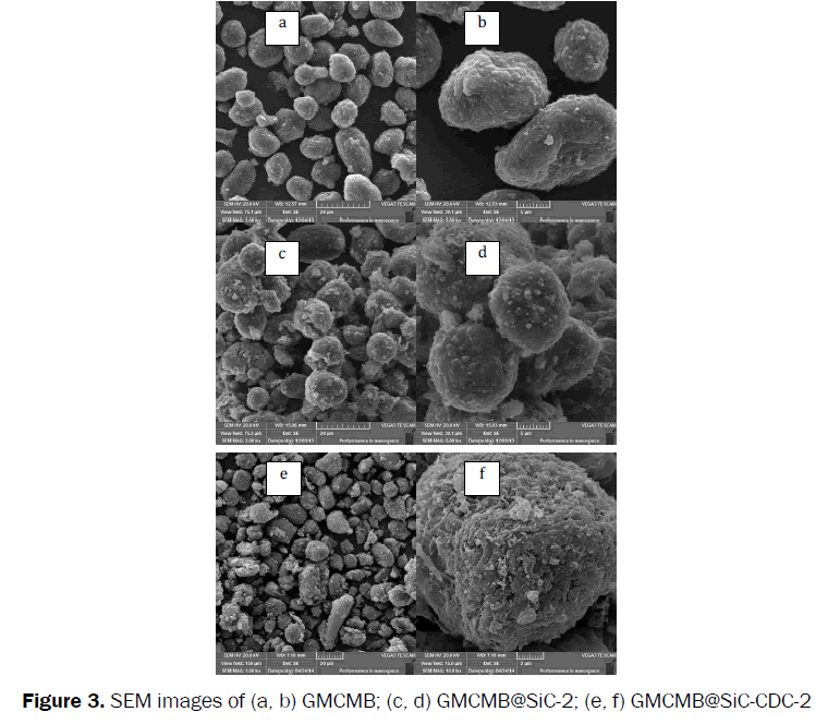 material-sciences-SEM-images