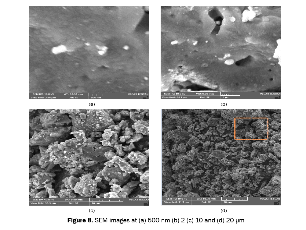 material-sciences-SEM-images