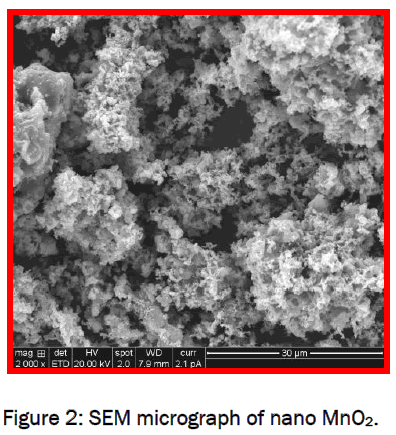 material-sciences-SEM-micrograph-nano-MnO2