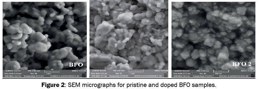 material-sciences-SEM-micrographs