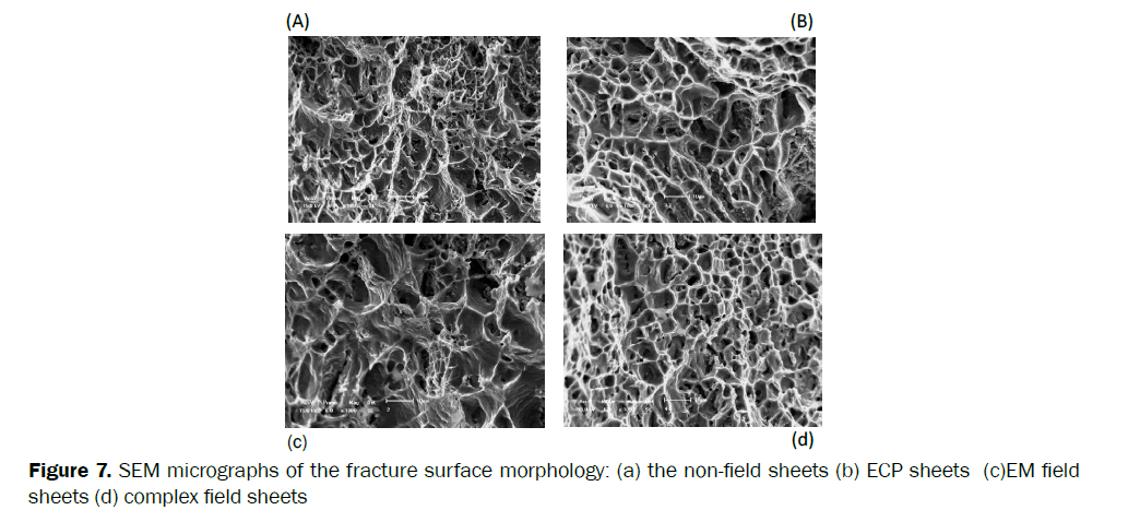 material-sciences-SEM-micrographs-fracture-surface