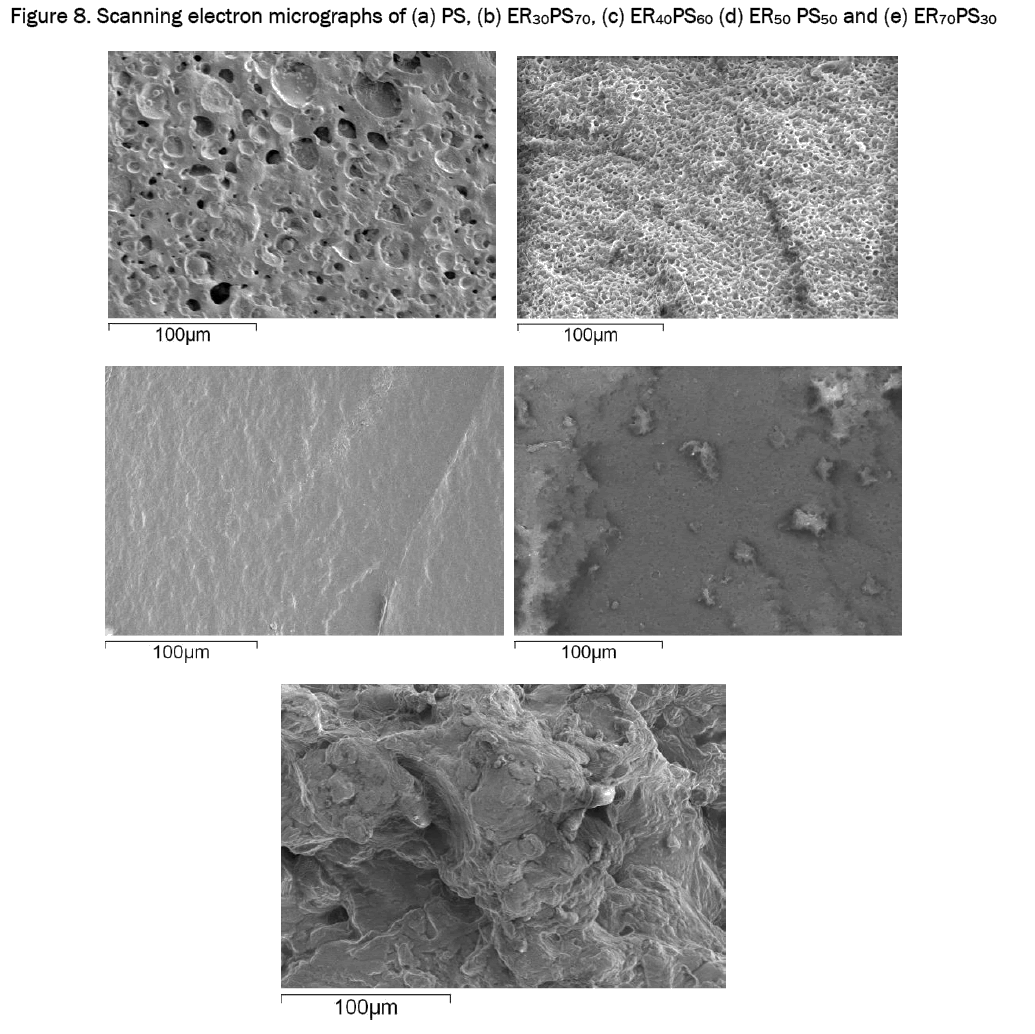 material-sciences-Scanning-electron-micrographs