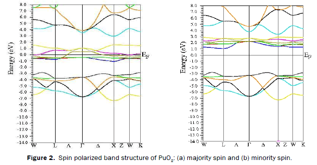 material-sciences-Spin-polarized