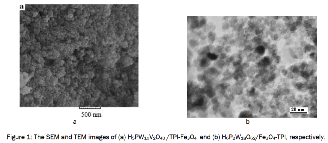 material-sciences-The-SEM-TEM-images