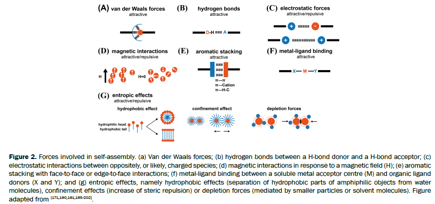 material-sciences-assembly