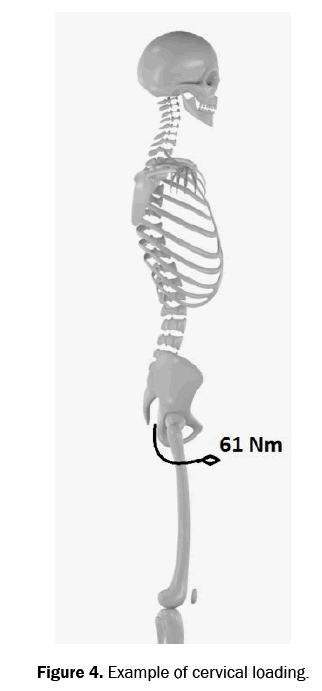 material-sciences-cervical