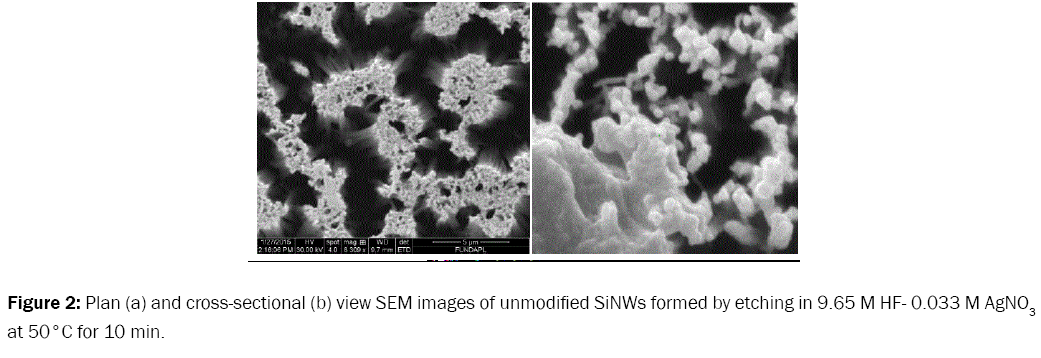 material-sciences-cross-sectional