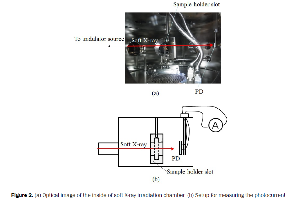 material-sciences-diagram