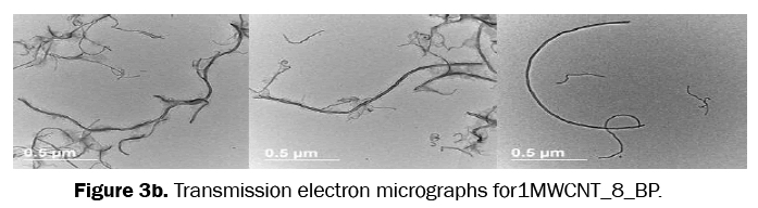 material-sciences-electron-micrographs