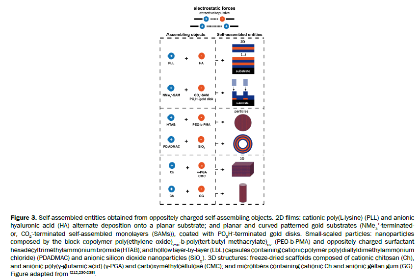 material-sciences-entities